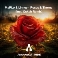 MaRLo & Linney - Roses & Thorns