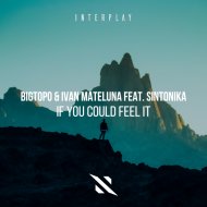 Bigtopo, Ivan Mateluna, Sintonika - If You Could Feel It