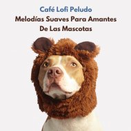 Relájate Hip Hop & Thiago Mascotas & Música para mascotas - Lugar Pacífico