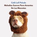 Relájate Hip Hop & Thiago Mascotas & Música para mascotas - Lugar Pacífico