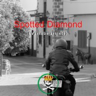Marya Mcmanamon - Spotted Diamond