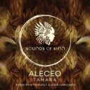 Aleceo feat. Dmitry Prynkov - Tamara (Original Mix)