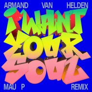 Armand Van Helden - I Want Your Soul