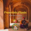 Starla Ohl - Pneumatic Plastic (Original Mix)