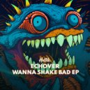 Echover - Shake (Original Mix)