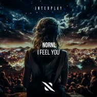 Norni - I Feel You