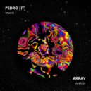 Pedro (IT) - Vision