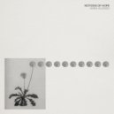 Hara Alonso - Notion 1