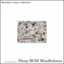 Sleep BGM Mindfulness - Salsa Soundtrack
