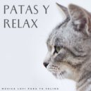 Lofi triste & Musicoterapia para gatos & Relaja a mi gato - Sol Todos Los Días ()
