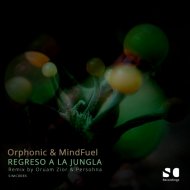 Orphonic, MindFuel - Falsa alarma