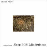 Sleep BGM Mindfulness - Peaceful Rain Sounds