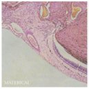 Materical & Luca Bernard & Enrico Farnedi & Luca Serrapiglio & Giacomo Pisani - Materical (feat. Luca Bernard, Enrico Farnedi, Luca Serrapiglio & Giacomo Pisani)