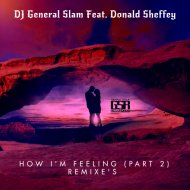 DJ General Slam Feat. Donald Sheffey - How I\'m Feeling