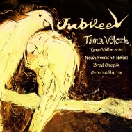 Tima Volozh & Timo Vollbrecht & Jerome Harris & Noah Franche-Nolan & Brad Shepik - Vortex (feat. Timo Vollbrecht, Jerome Harris, Noah Franche-Nolan & Brad Shepik)