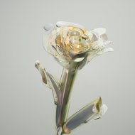 Earthenware - Estima