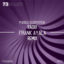 Puddle ecoSystem - Radix