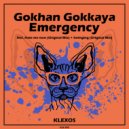 Gokhan Gokkaya - Swinging (Original Mix)