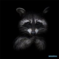 Dj Vl Raccoon - Tokyo