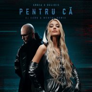 Andia x Deliric - Pentru ca (Dj Dark & Mentol Remix)