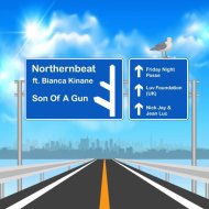 Northernbeat ft. Bianca Kinane - Son Of A Gun