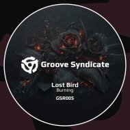 Lost Bird - Burning