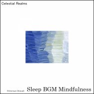 Sleep BGM Mindfulness - Salsa Soothe