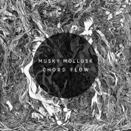 Musky Mollusk - Chord Flow