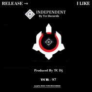 TC Dj - Silicon