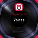 Baguk Perez - Voices (original)