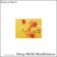 Sleep BGM Mindfulness - Dreamland Symphony