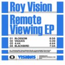 Roy Vision - Blackbird (Original Mix)