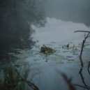Christopher Hanlon - Shelter