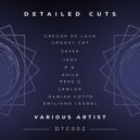 Damian Cotto, Emiliano Leonel - She Likes It (Original Mix)
