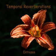 Entresee - Ocean of Contemplation