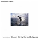 Sleep BGM Mindfulness - Zen Meditation (Original Mix)