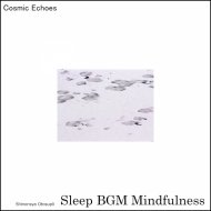 Sleep BGM Mindfulness - Sleep Soundly Symphony
