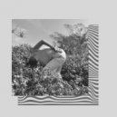 Mattone - Gaia