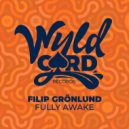 Filip Grönlund - Fully Awake (Original Mix)