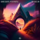 Dario Suerte feat. Peter Nutile - Life Goes On (Original Mix)