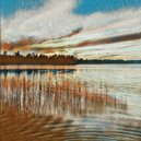Clarke James - Grub Hub Me ~ Tangerine ()