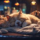 Work at Home Lofi & Relaxing ASAP & Sleepy Pets - Gentle Lofi Pet Rhythms ()