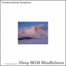Sleep BGM Mindfulness - Tranquil Spa Sounds (Original Mix)