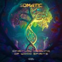 Somatic - Enchanted Forest (Original Mix)