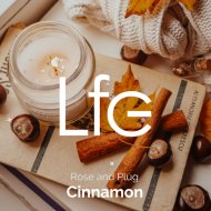 Rose And Plug - Cinnamon