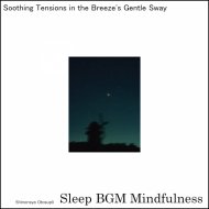 Sleep BGM Mindfulness - Journey Through Sound Therapy, Leaving Sleep Disorders Behind