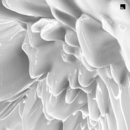 Nihil Young, Beacon Bloom, Olivier Giacomotto - A New Kind