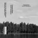Yosuke Kakegawa - Flow ()