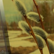 Duenec - Large Mirrors