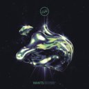 wants - north warsaw (Original Mix)